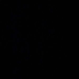 Meet your Posher, Cedric